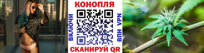 Купить закладки  Дорогобуж  Канабис гибрид 